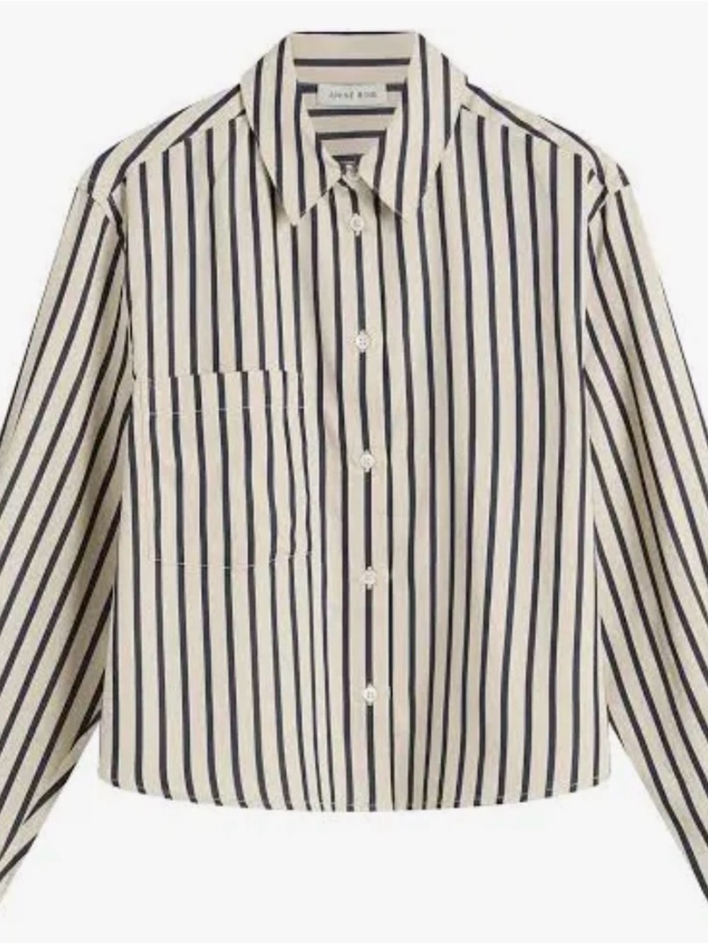 Anine Bing Cream and Black Vertical Stripe Button-Down Shirt